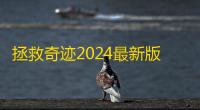 拯救奇迹2024最新版